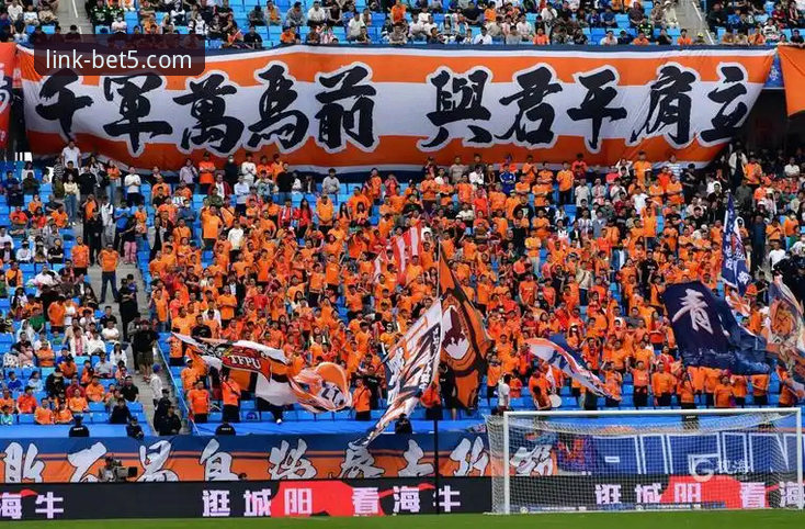 资深用户分享：青岛海牛3-1力克海港的bet5体育平台观赛心得，13年等待终圆梦